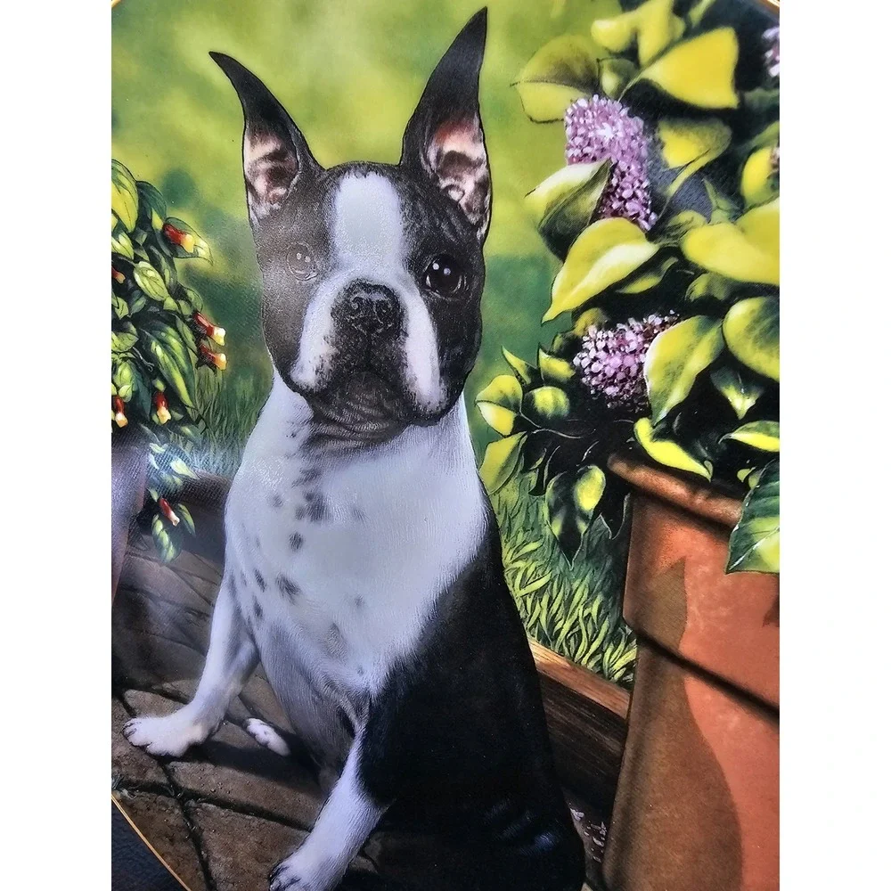 Danbury All Ears Boston Terrier Dog Plate Limited Edition by Dan Hatala